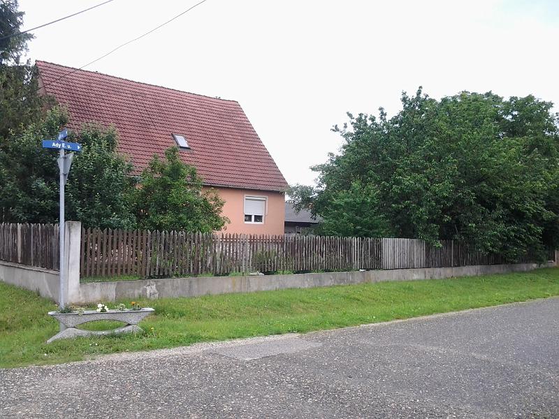 sk petofi 93 10.jpg - none